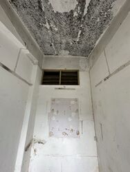 Jurong East Avenue 1 (D22), Shop House #545569631